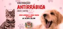 Vacinação Antirrábica Cães e Gatos